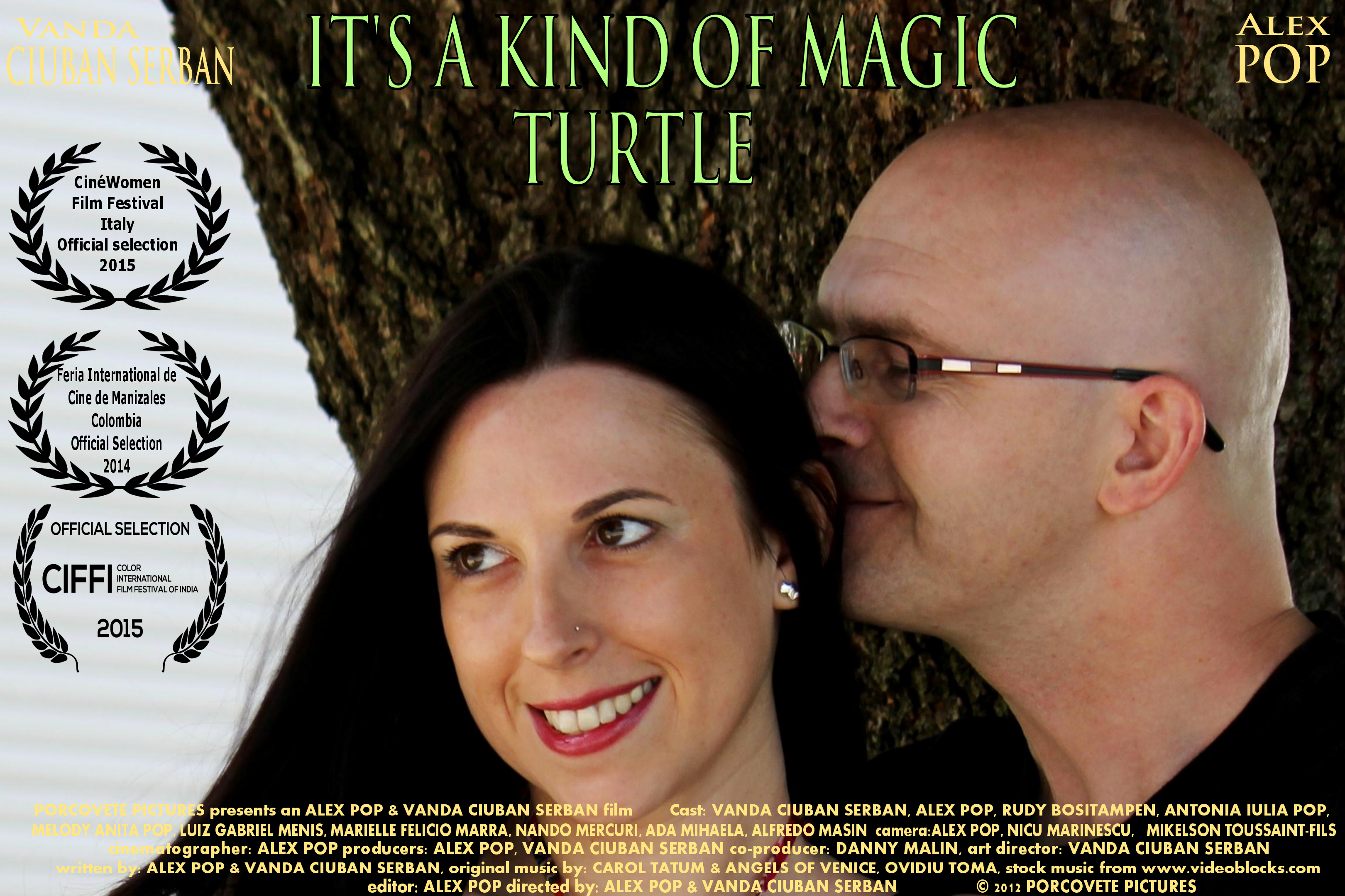 It's A Kind of Magic Turtle