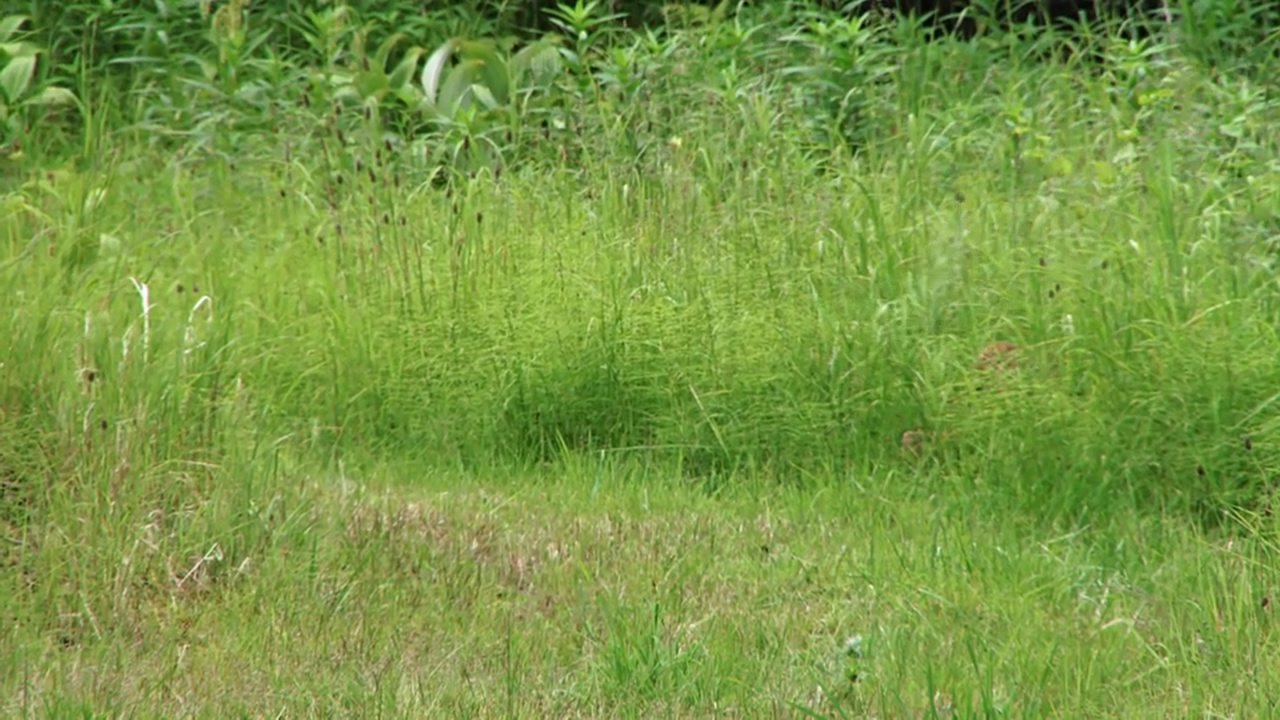 Apocalypse Now and Then