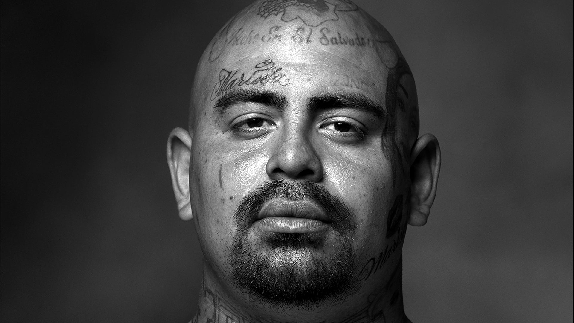 Gang Member interview-Michael