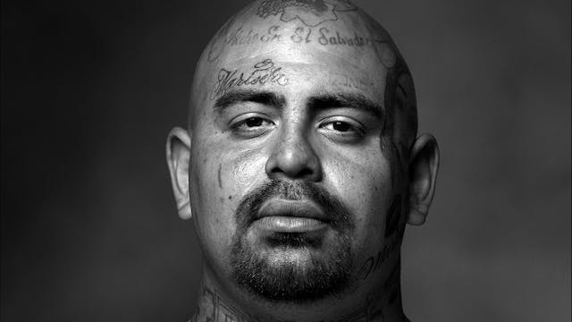 Gang Member interview-Michael