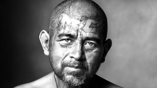 Two Options: Death or Prison-Freddie