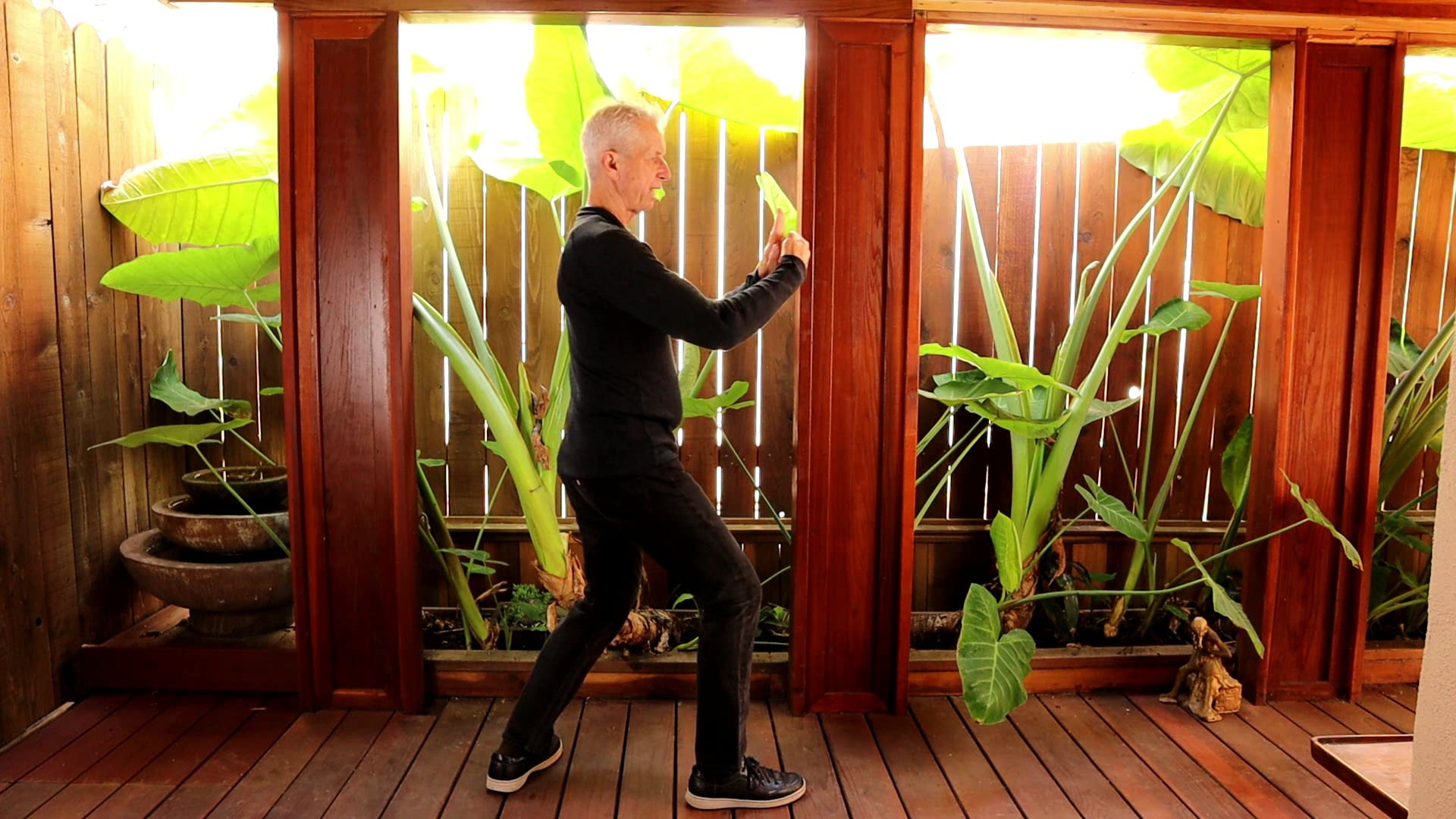 PRESS  OF THE TAI CHI CONNECTIVE MEDITATIONS LESSON