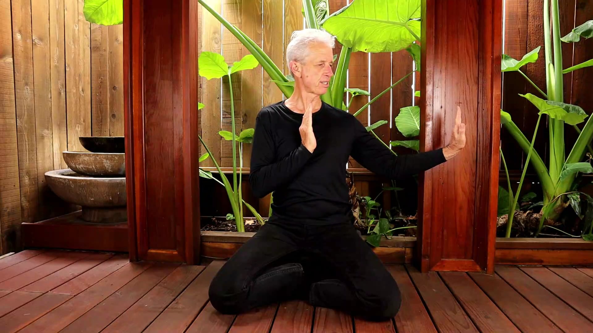 SIDEWAYS FAN THRU BACK OF THE SUNRISE SET