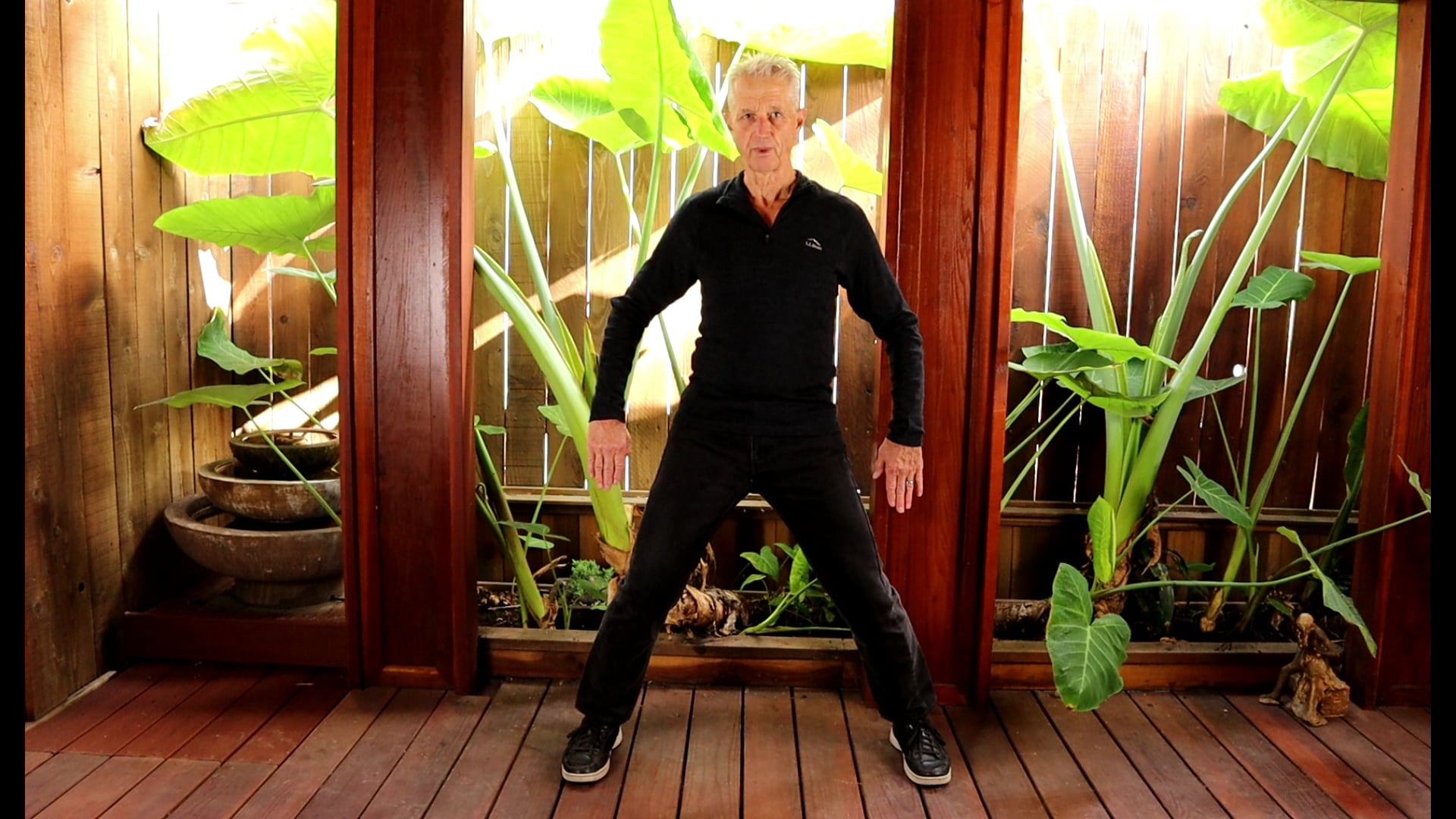 TAI CHI CONNECTIVE MEDITATIONS COMPLETE PRACTICE