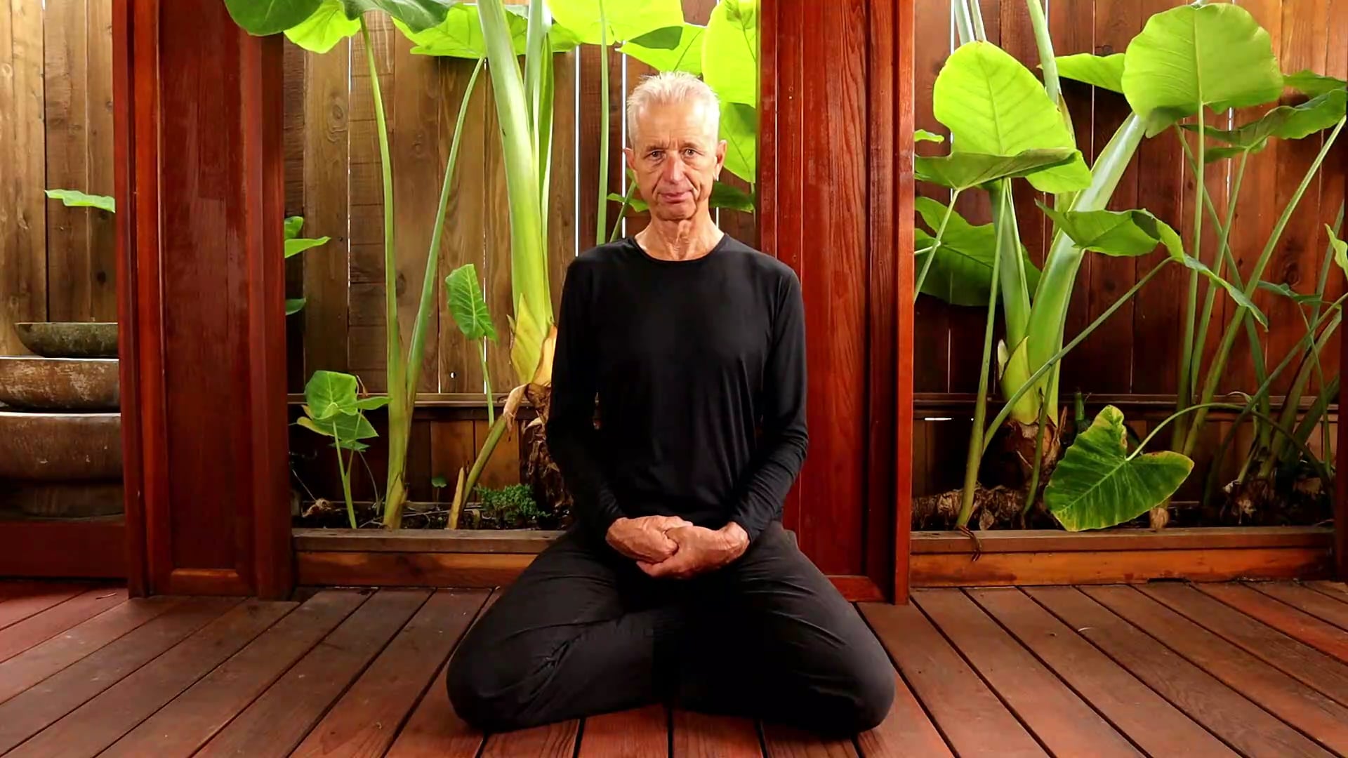 INSIDE FORM  THE MICRO COSMIC ORBIT