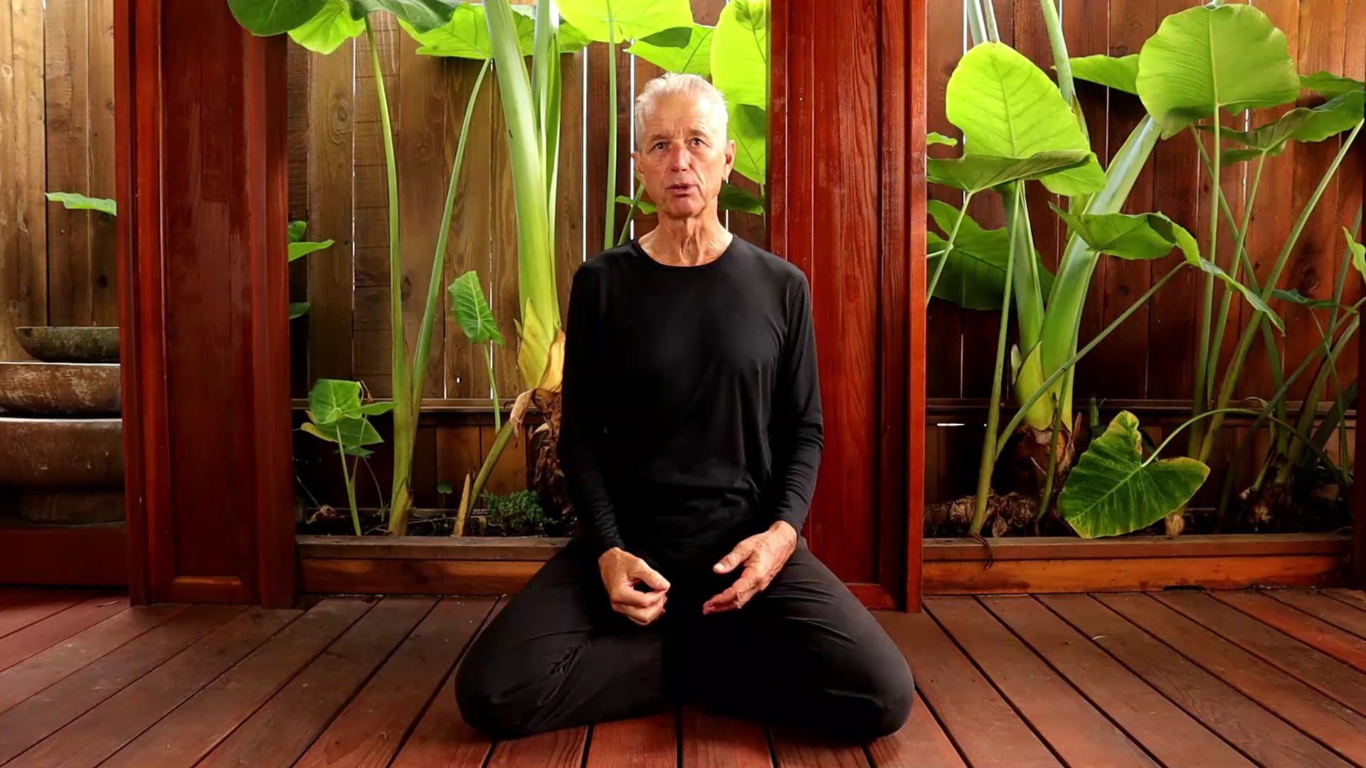   SOLAR QIGONG BREATH