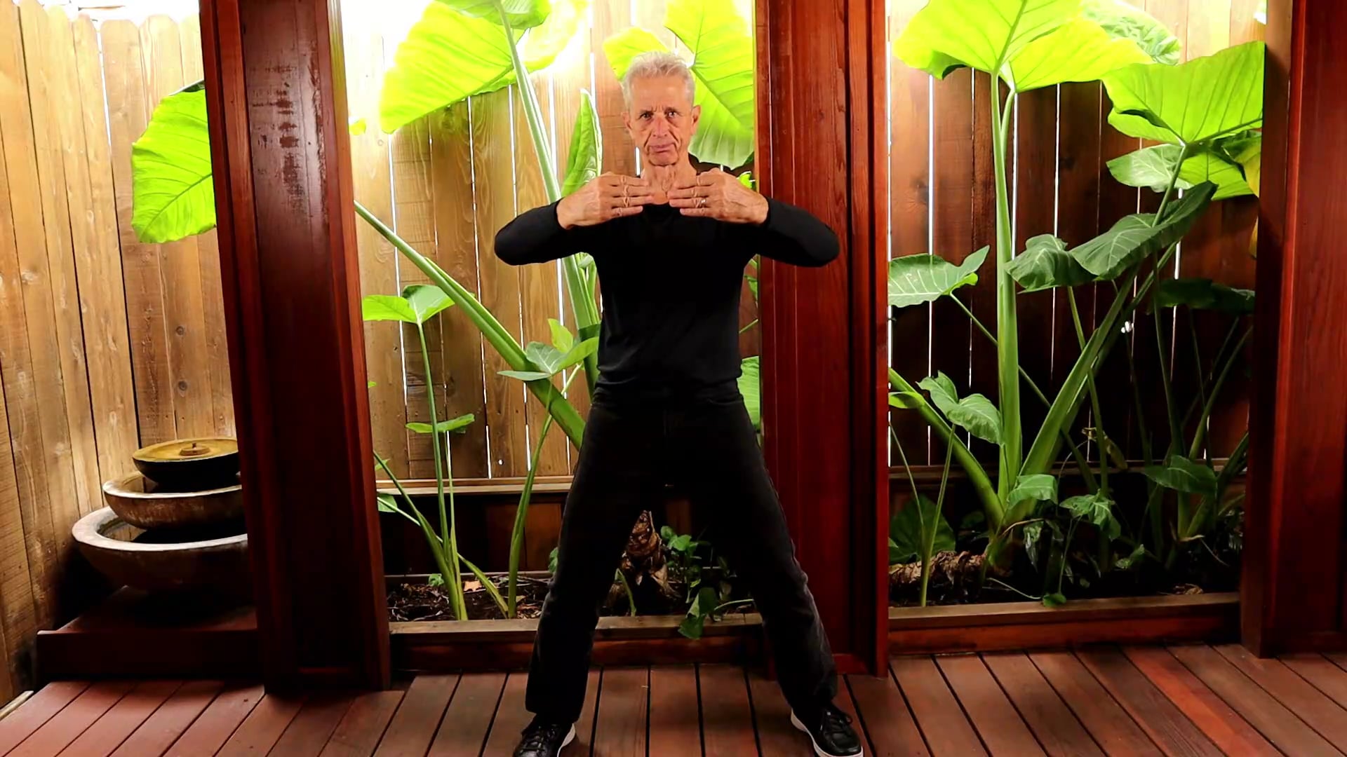 STANDING TAI CHI MEDITATION OF THE SUNRISE SET