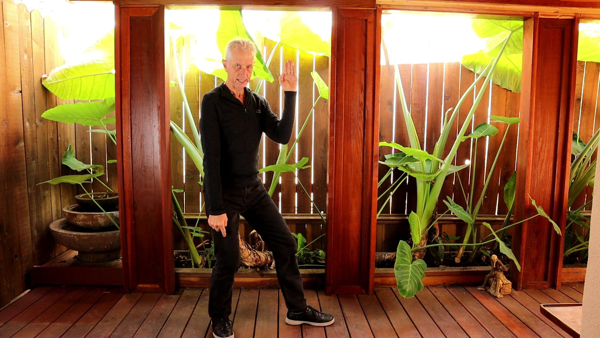 ROLL BACK OF THE TAI CHI CONNECTIVE MEDITATIONS LESSON