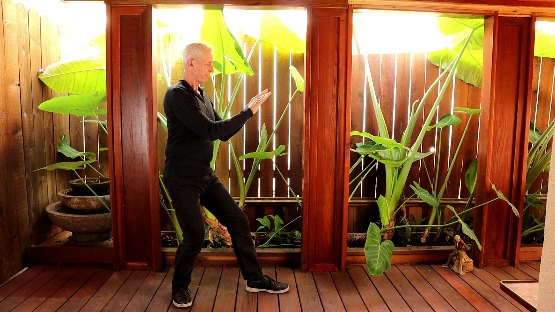 PUSH  OF THE TAI CHI CONNECTIVE MEDITATIONS LESSON