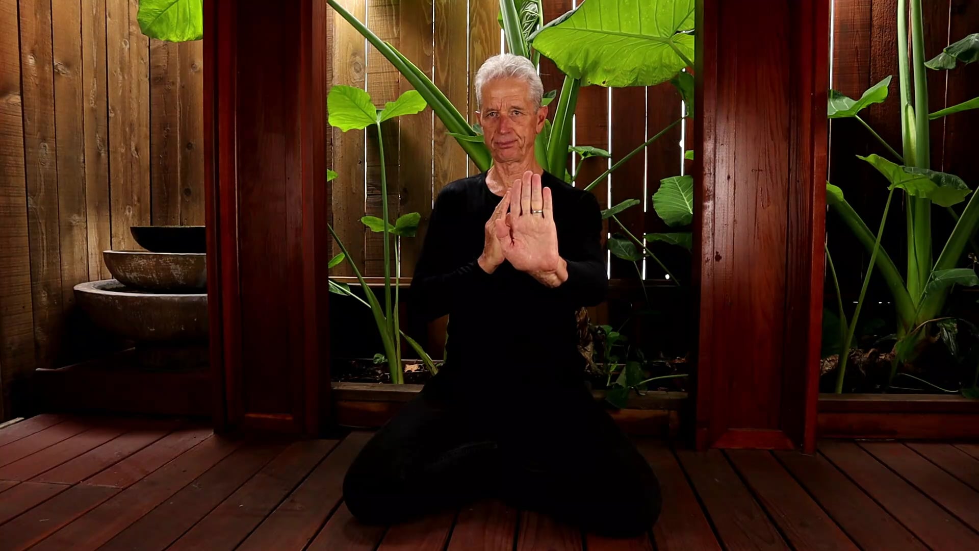 FORWARD FAN THRU BACK OF THE SUNRISE SET