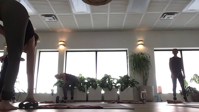 Live Essentials Sol with Krystal, 4.1...