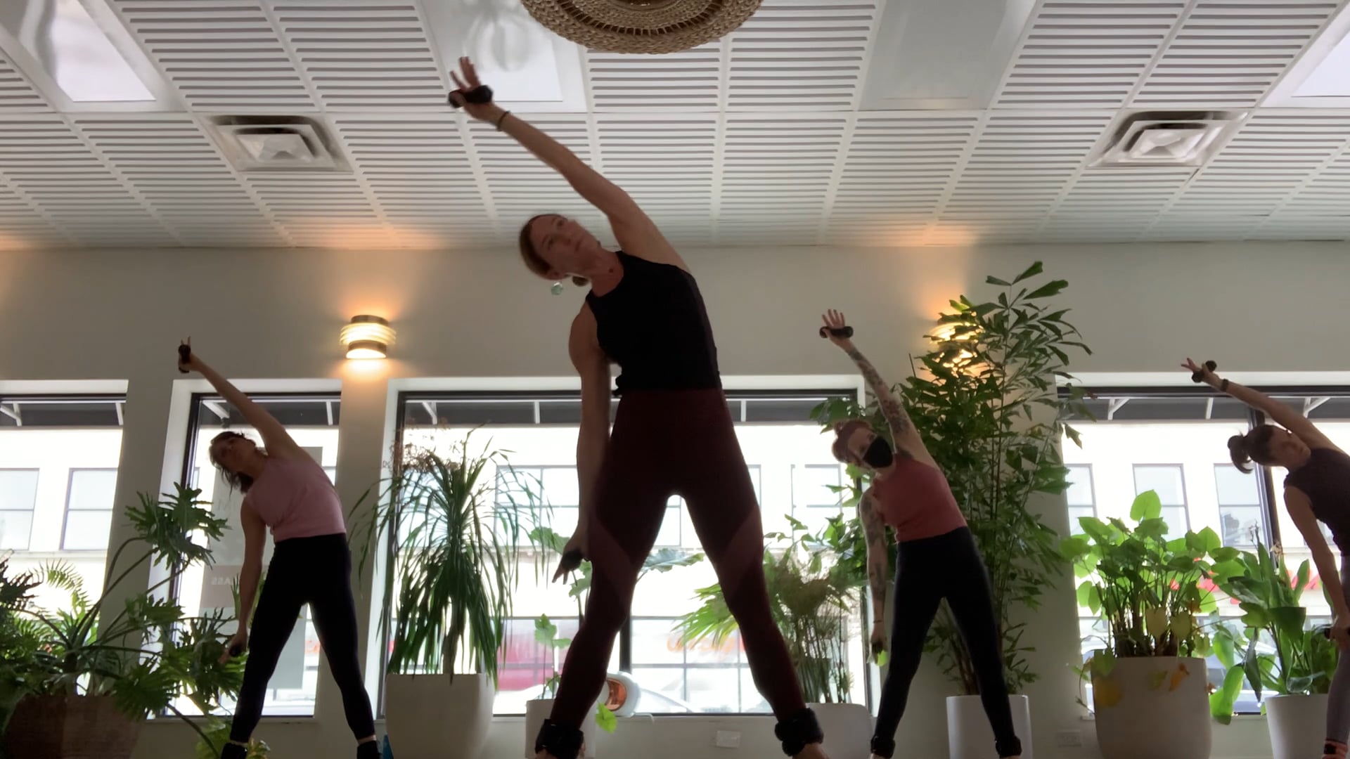 Live Signature Sol with Regan, 11.6.20