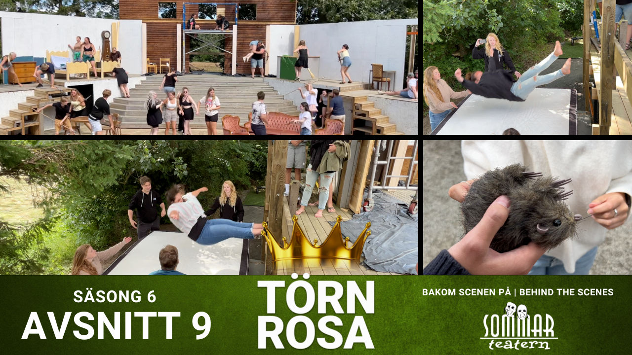 Repetitioner och stuntfall 