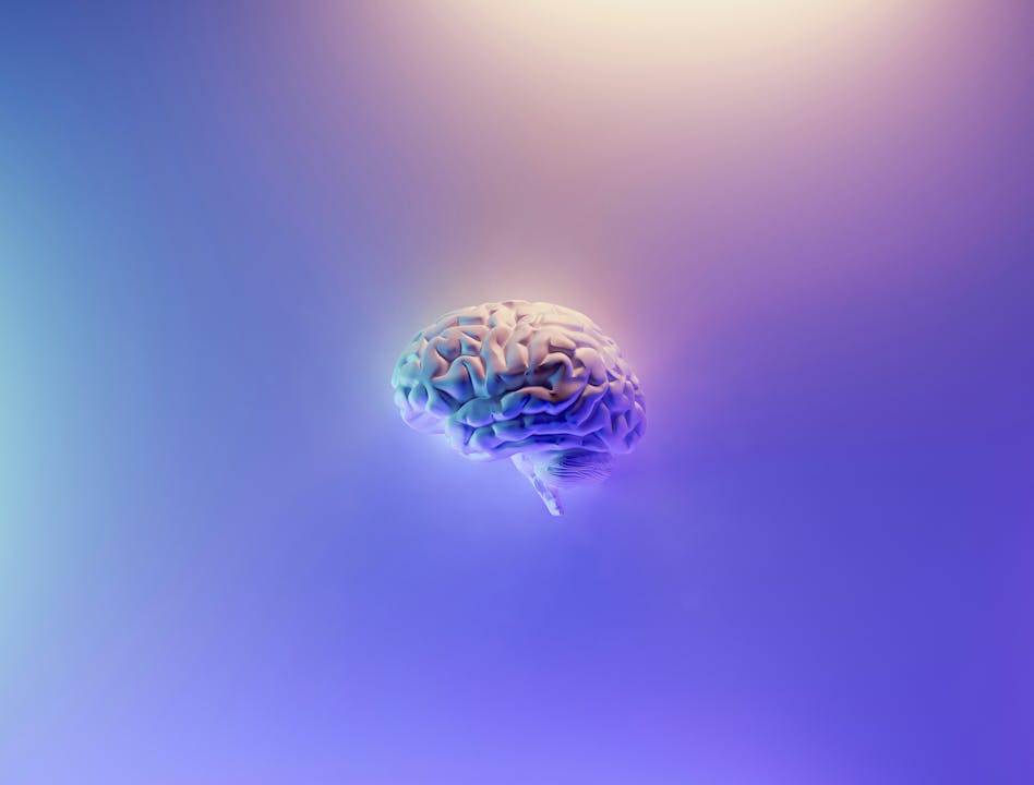 Brain Hemispheres Balancing: Logic x Creativity