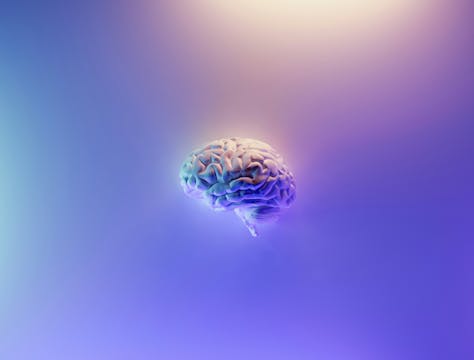 Brain Hemispheres Balancing: Logic x Creativity
