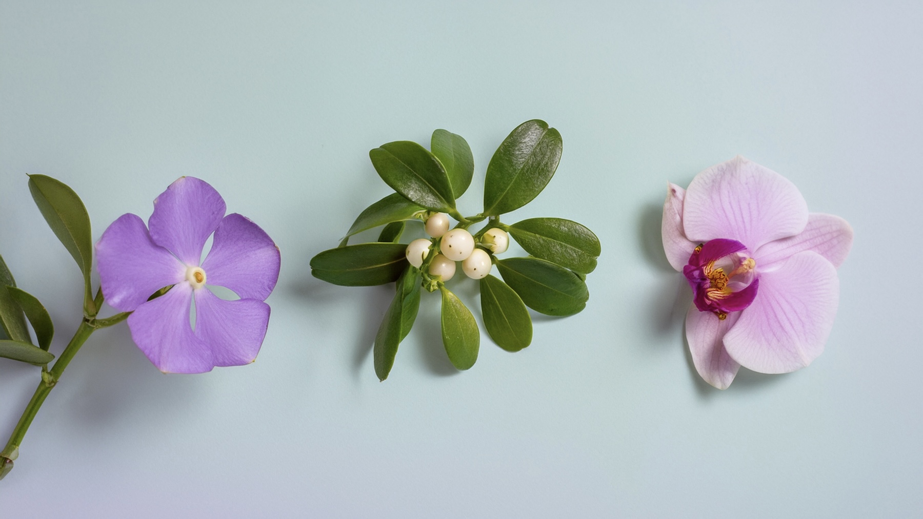 Bloom Through Turbulent Times | Sonic Flower