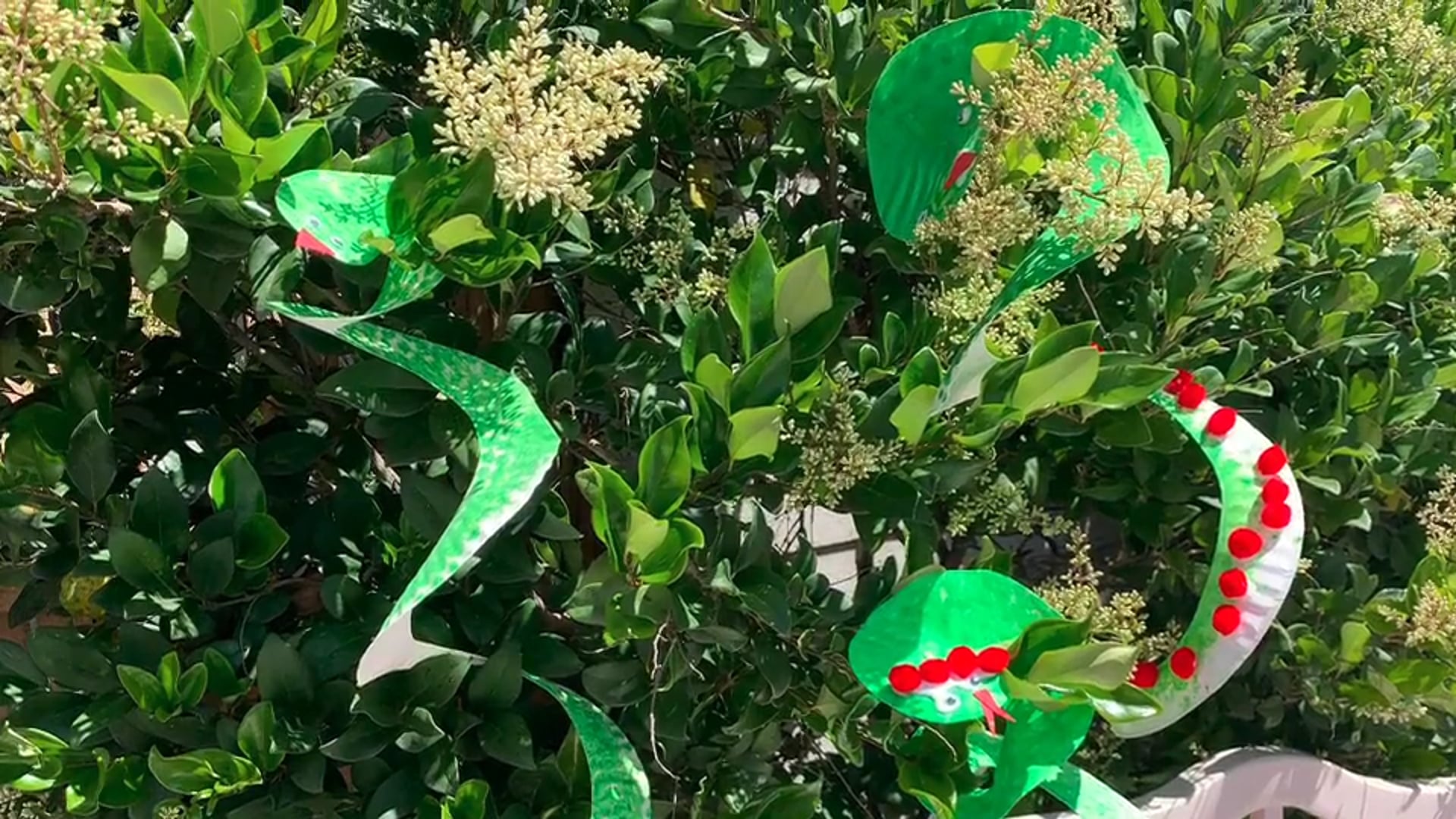 Make Paper Plate Dancing Snakes with Miss Sophie, Blaise and Coraline!