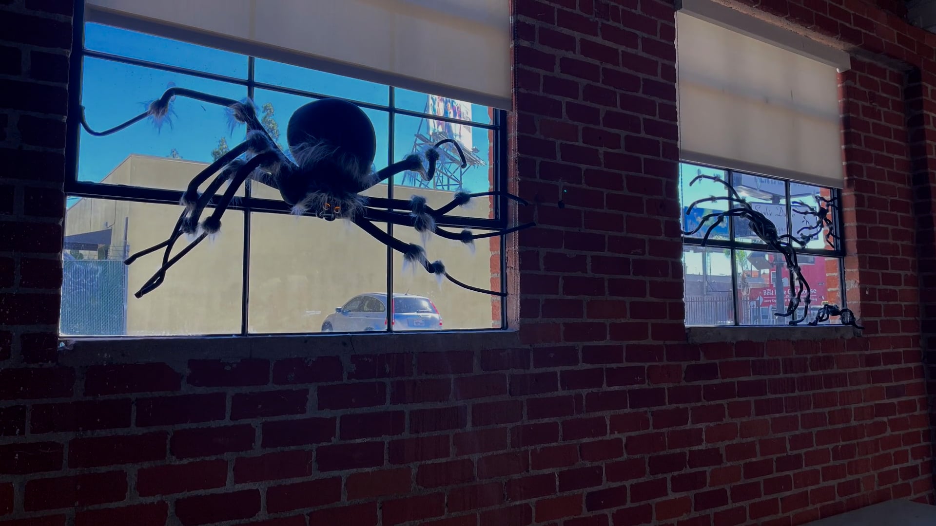 Miss Sophie Halloween Episode!