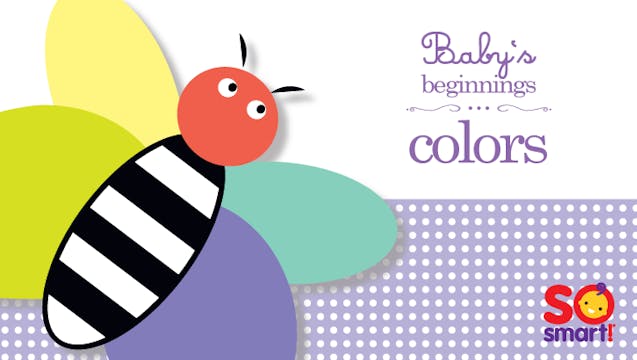 Baby's Beginnings: Colors