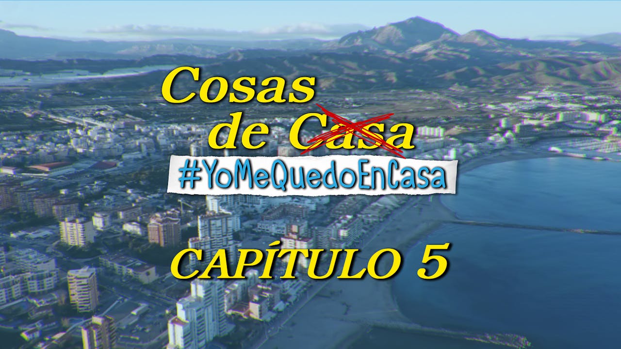 05. VIDEOLLAMADAS - COSAS DE YO ME QUEDO EN CASA