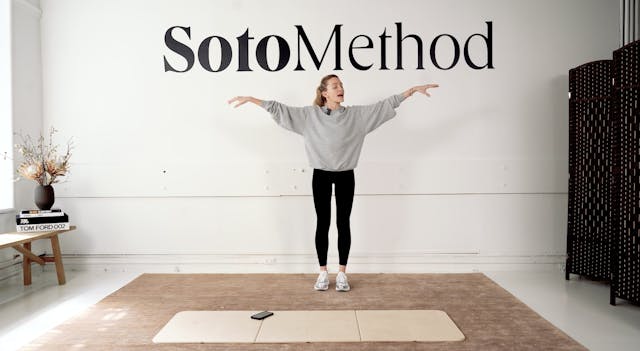 20 Min No Cardio Sculpt (3-Weeks Preg...