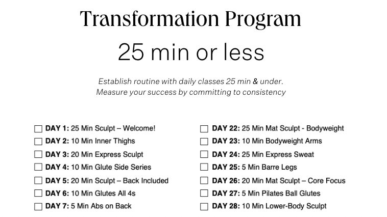 Transformation Program - 25 Min or Less PDF