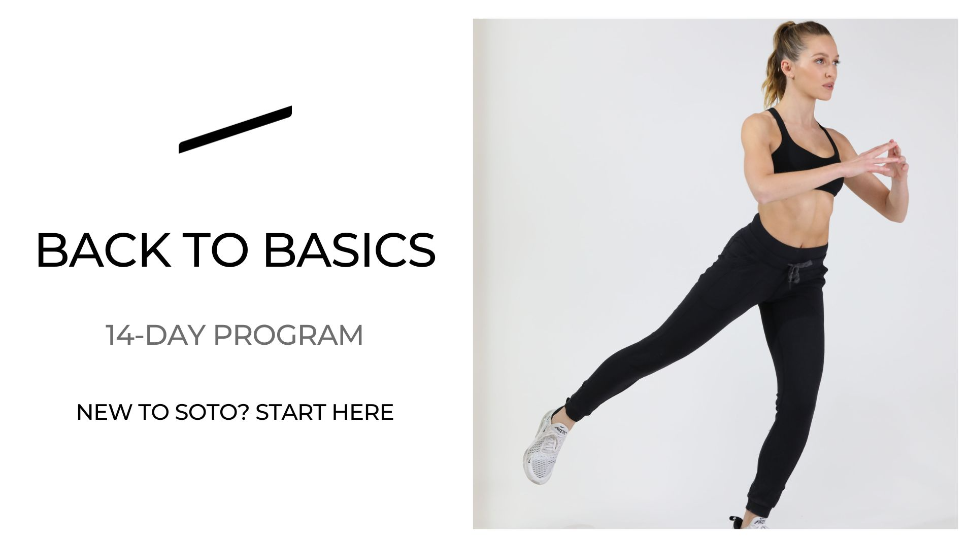 Back to Basics - 2 Week Intro Program