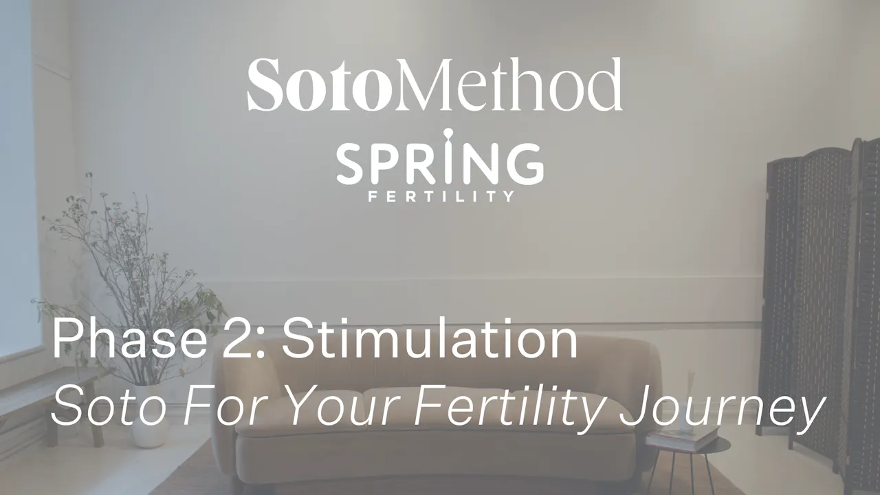 PH2 - 10 Min Legs - Standing Series w. Chair - Soto Method