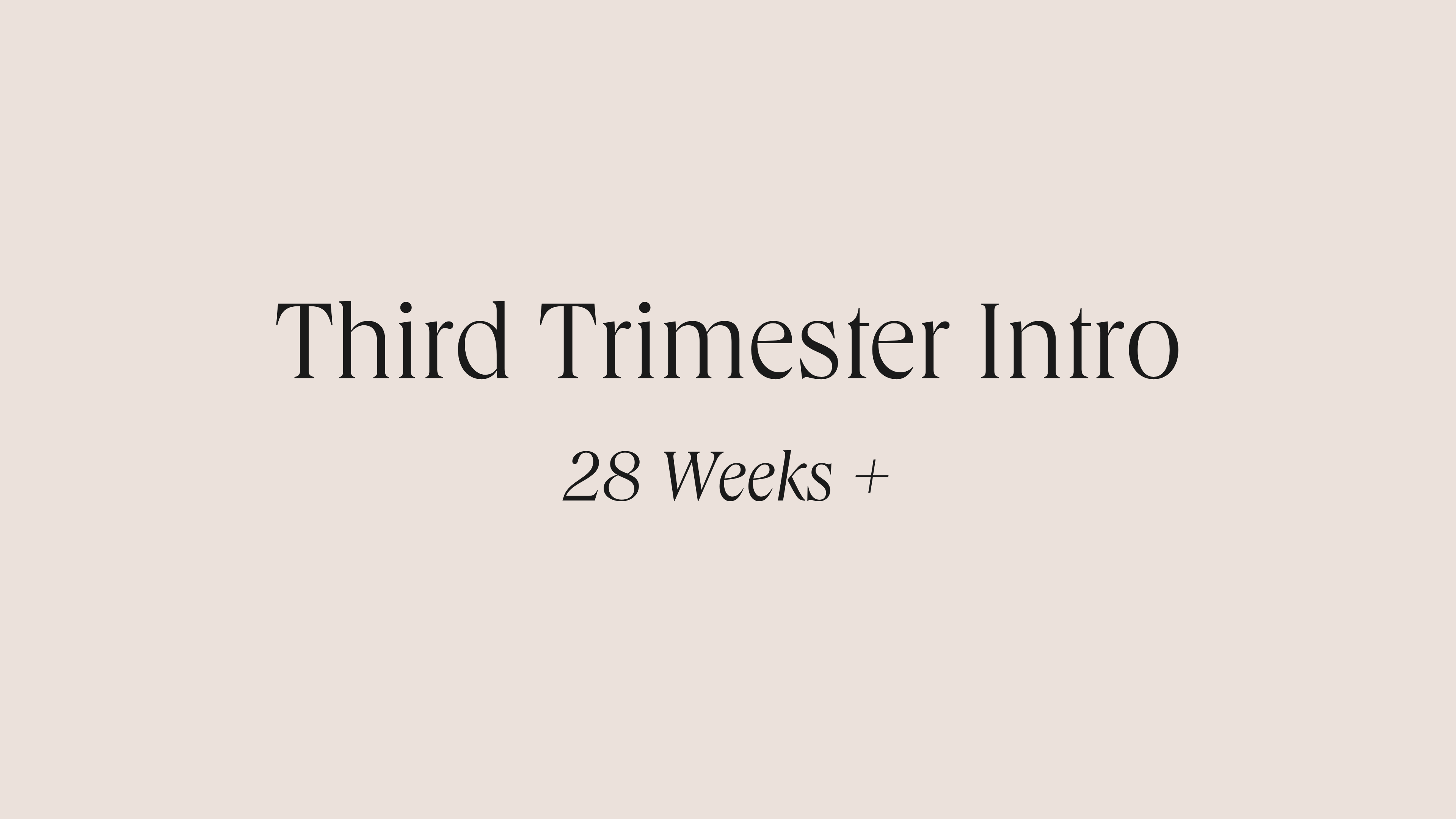 Third Trimester Intro: 28 Weeks +