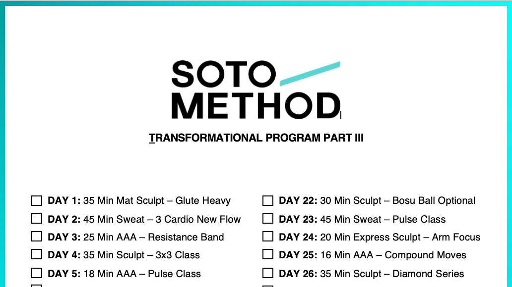 TRANSFORMATIONAL PROGRAM PART III (PDF)