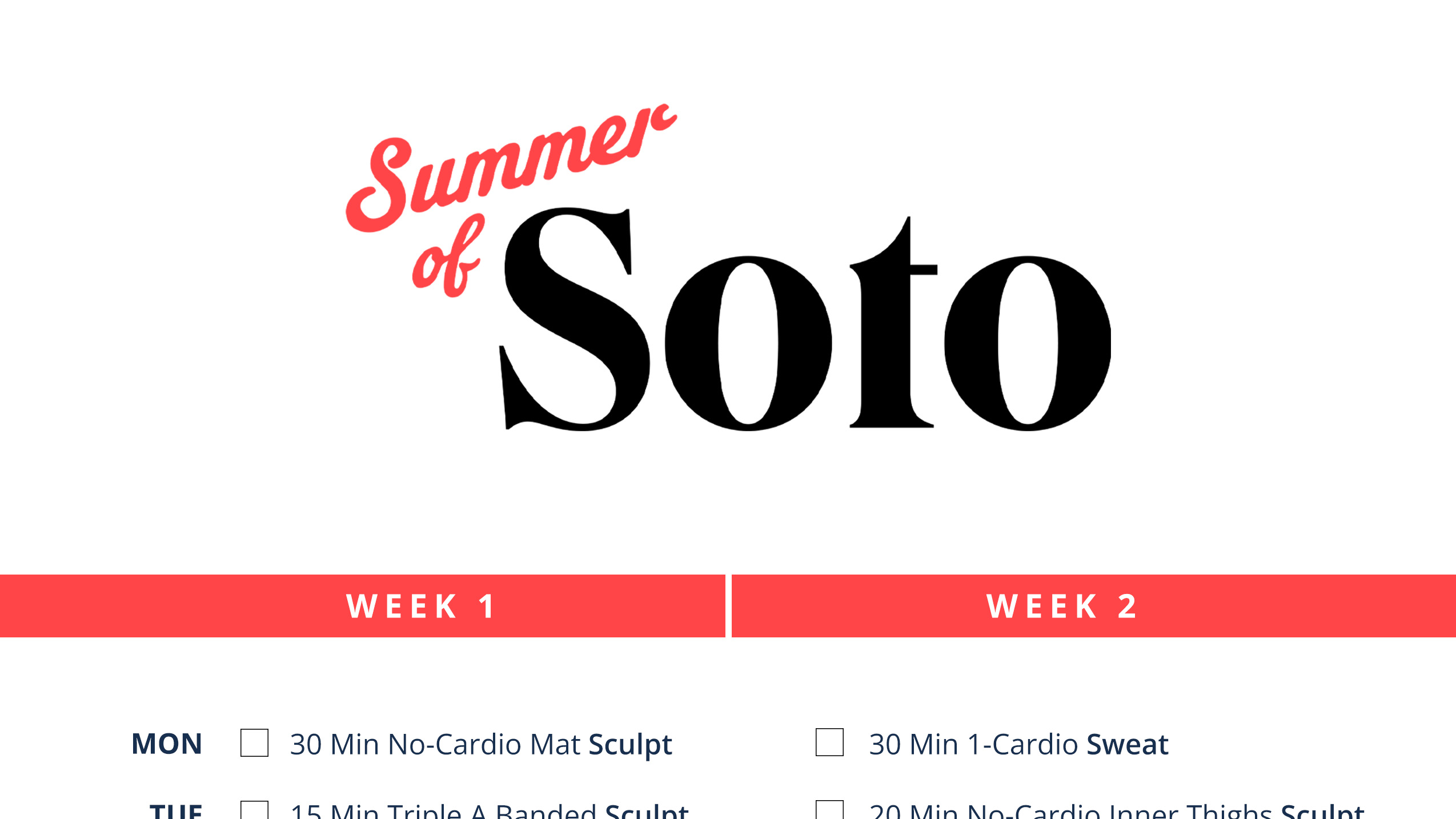 Summer of Soto PDF