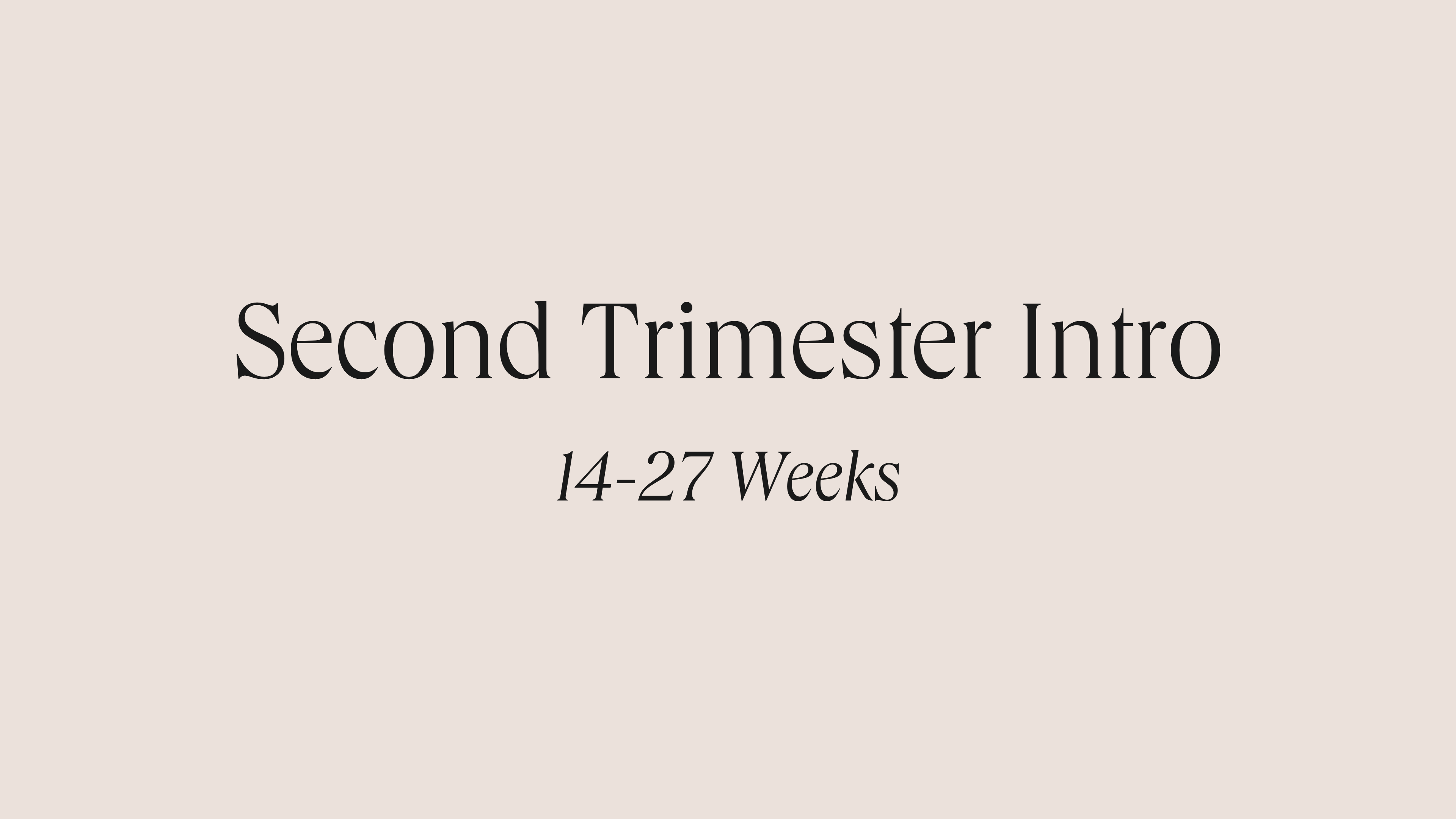 Second Trimester Intro: 13-27 Weeks