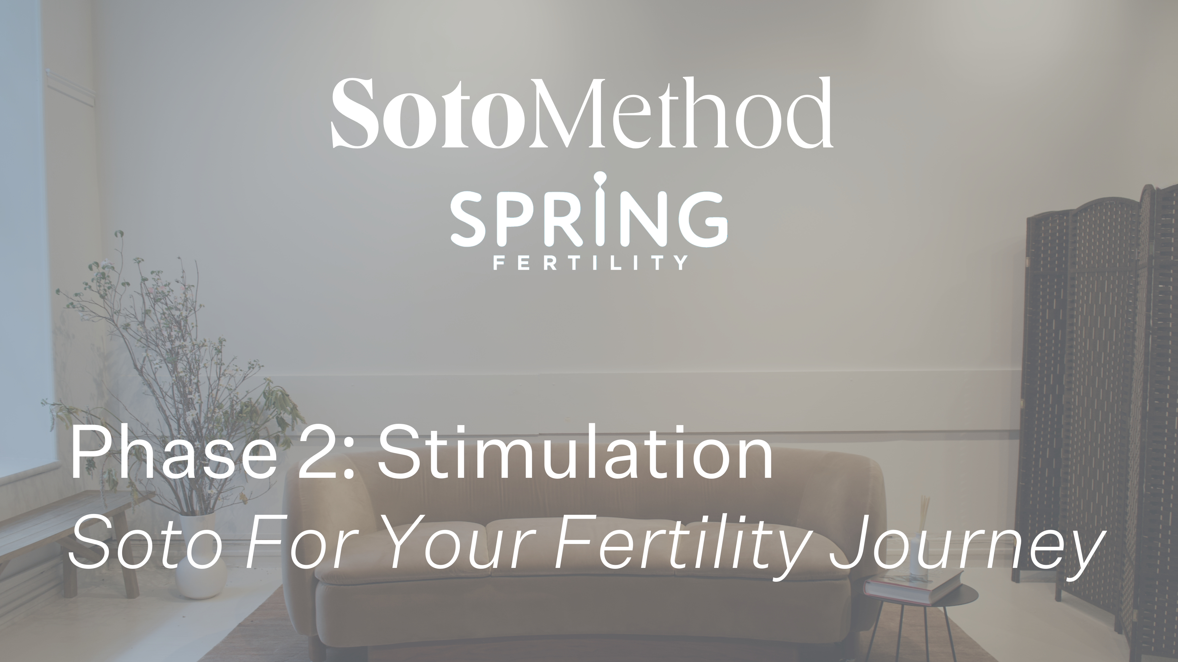 Phase 2: Stimulation