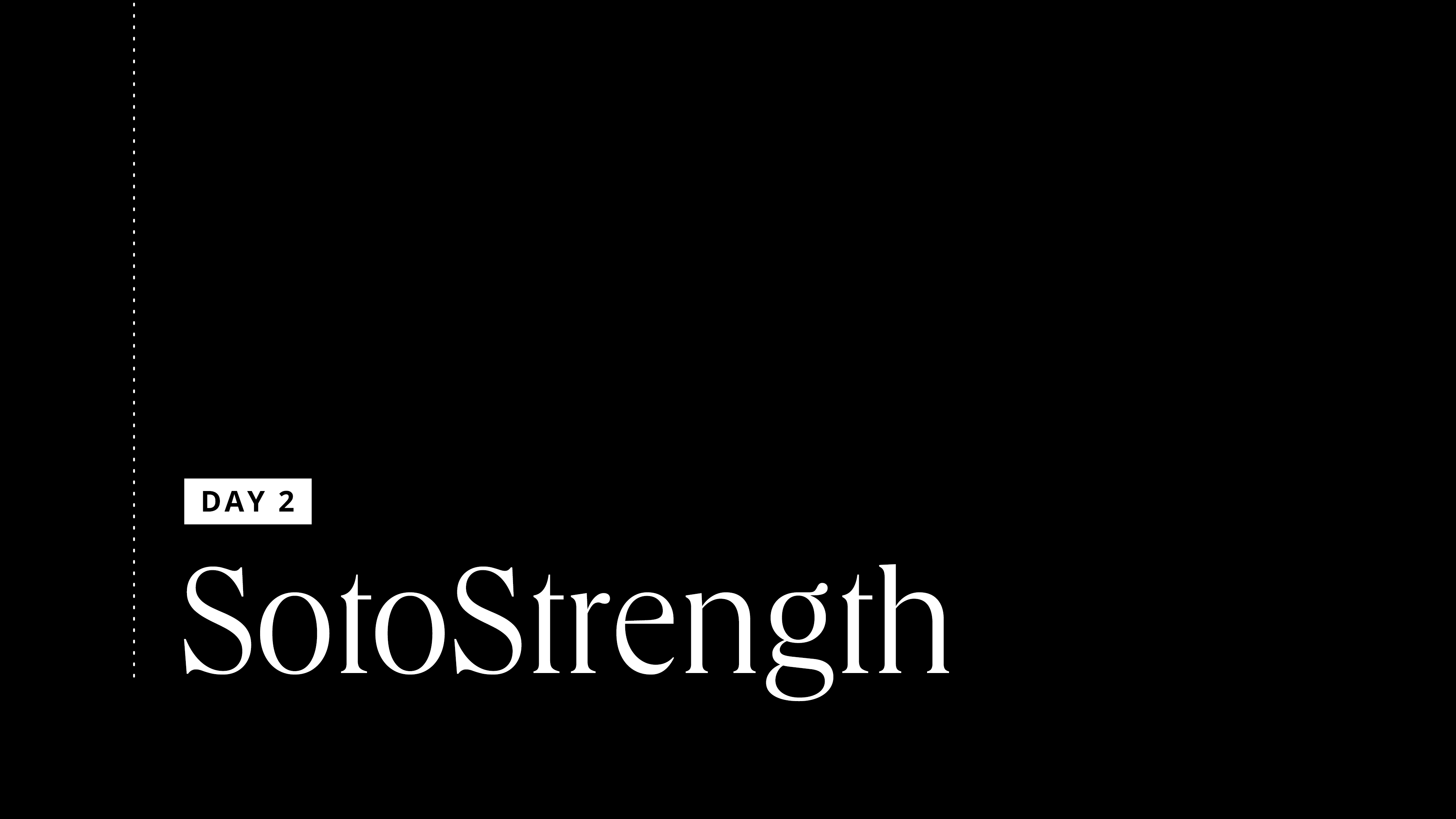 DAY 2: 30 Min No Cardio Strength