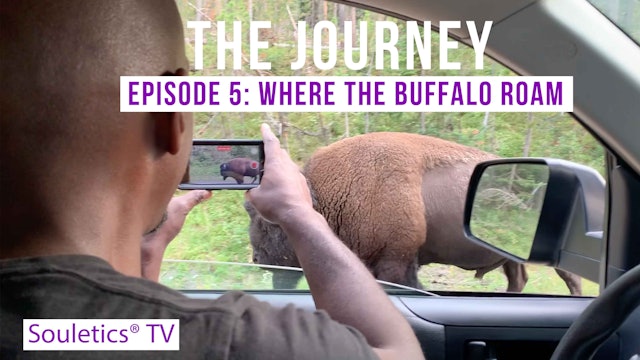 The Journey Home Is Where Your Heart Is Even If That S A Travel Trailer Homeschooling With Souletics Tv Educational Videos For The Whole Family The Journey Home Is Where Your Heart Is Even If That S A Travel Trailer Homeschooling With Souletics Tv Educational Videos For The Whole Family