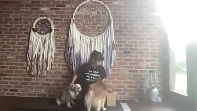 4/24/26 with Ali: FIRE and ICE