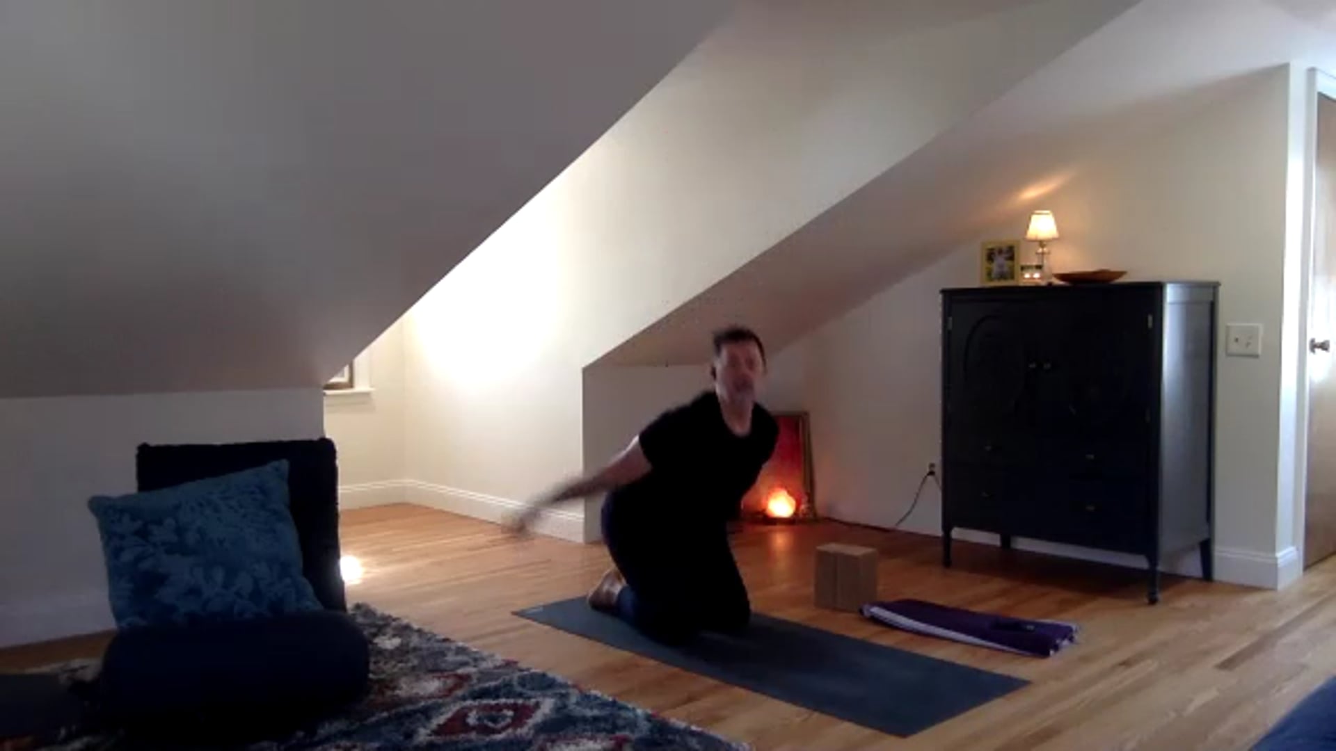 4/24/21 - Leaping Lizards