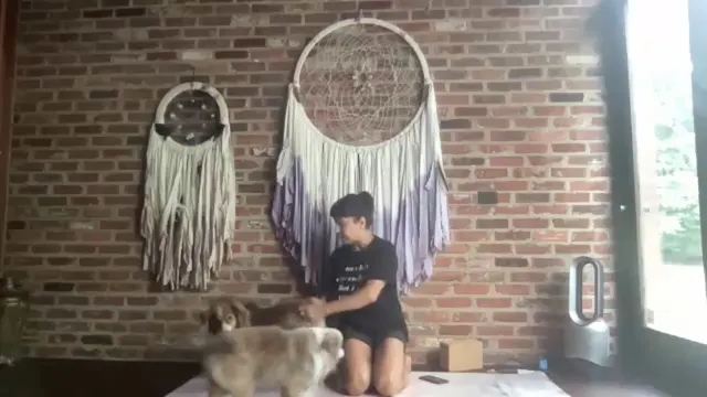 Pitta Pacifying Grounding Practice 6/...