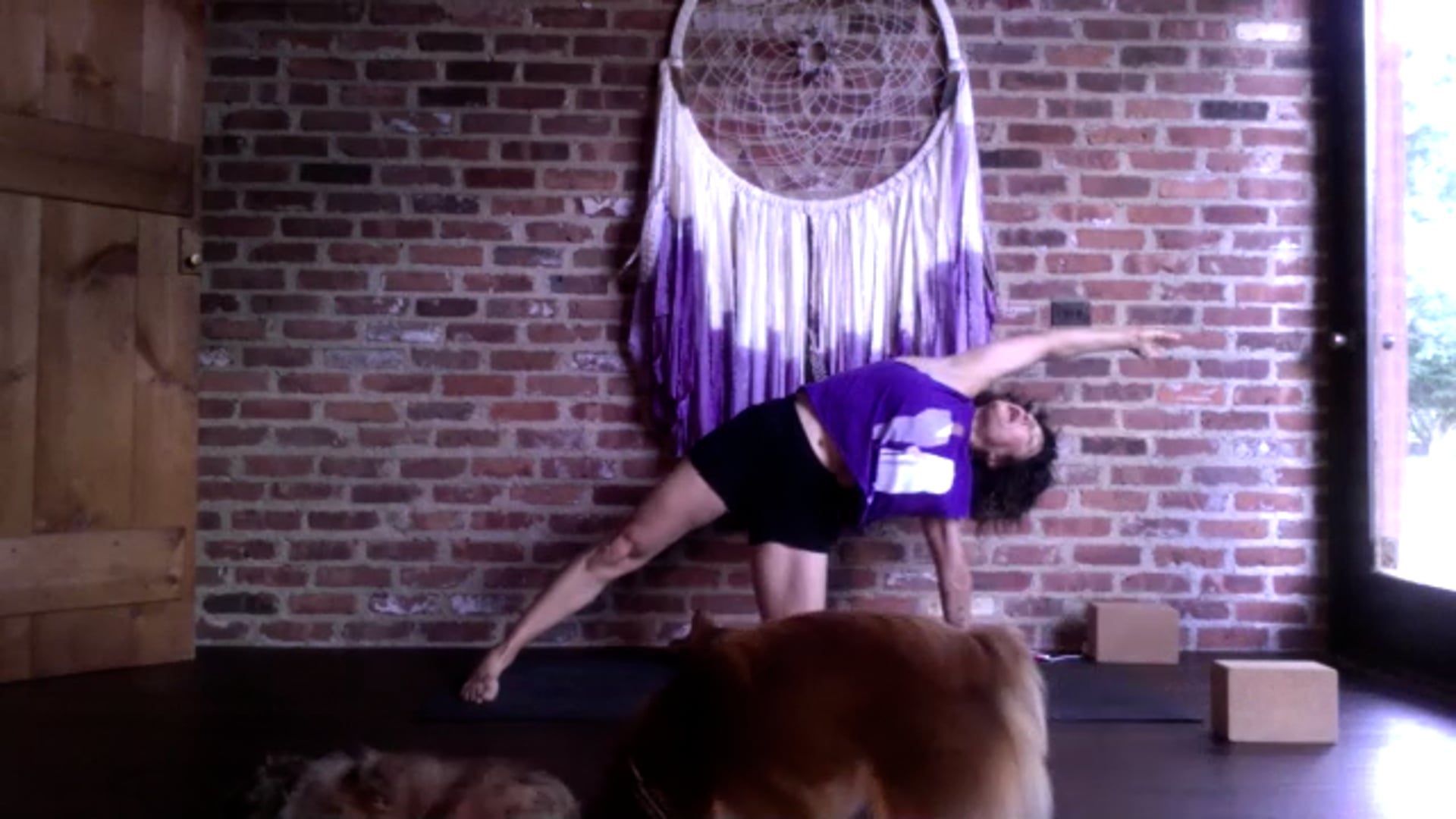 9/23/21: Yoga for Strength and Stability 