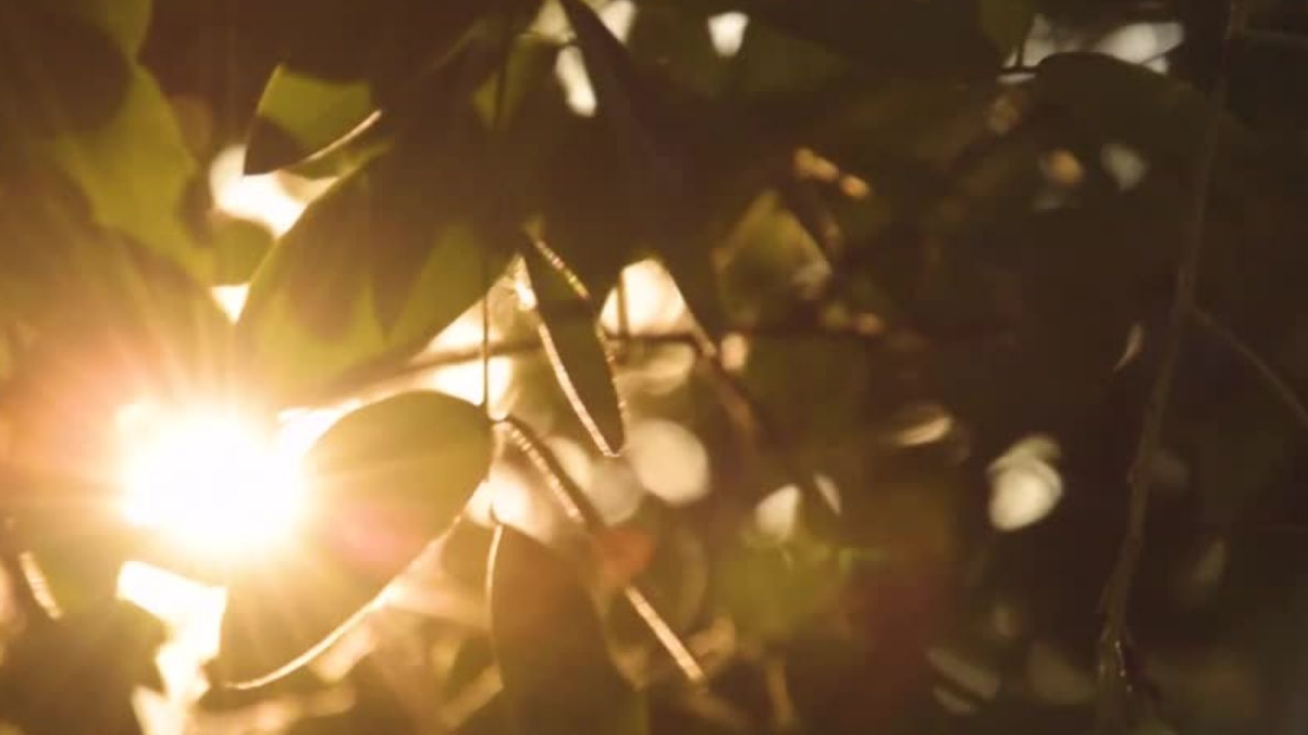 Pile Two - Extended, Channeled Message