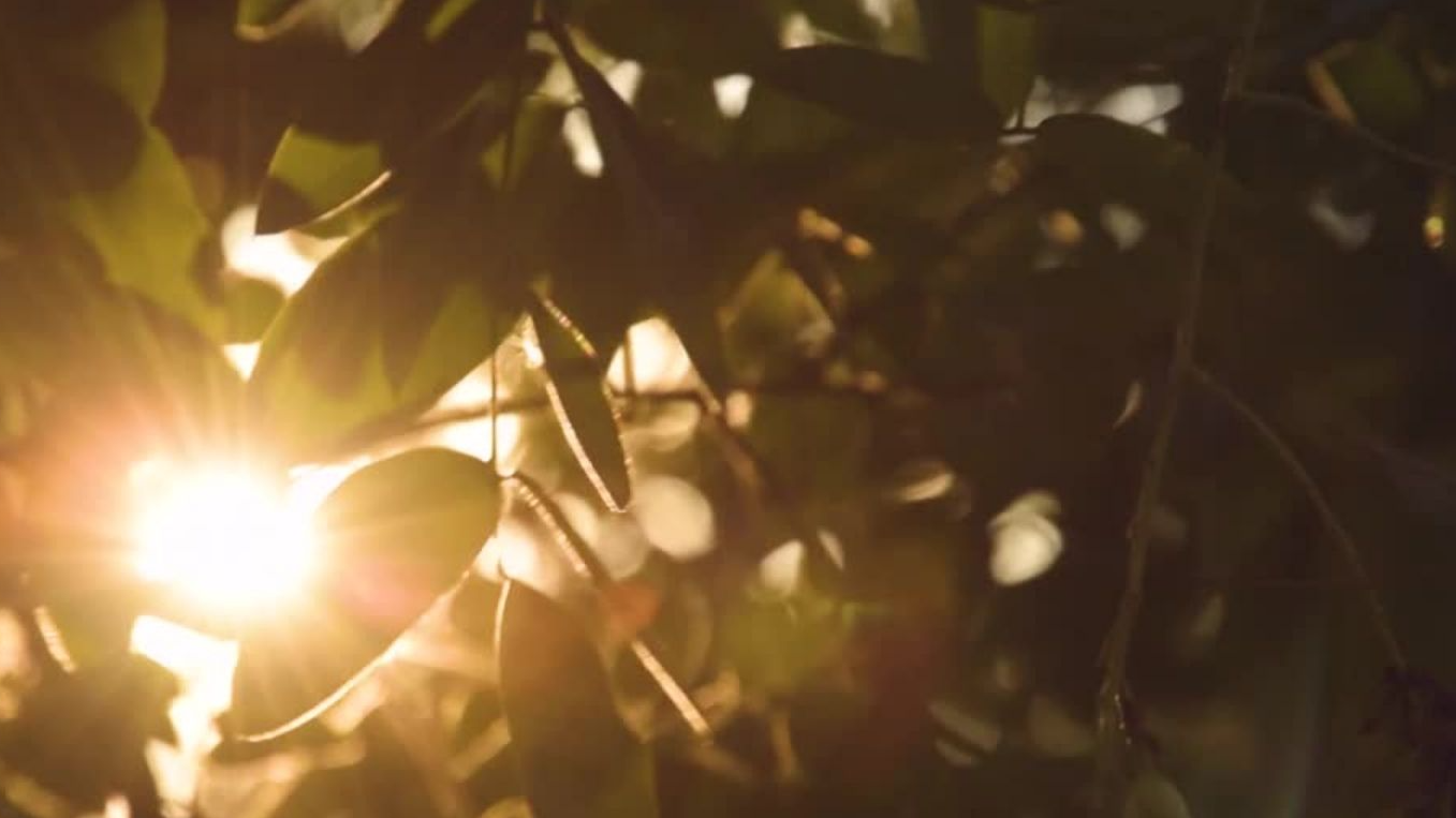 Pile One - Extended, Channeled Message