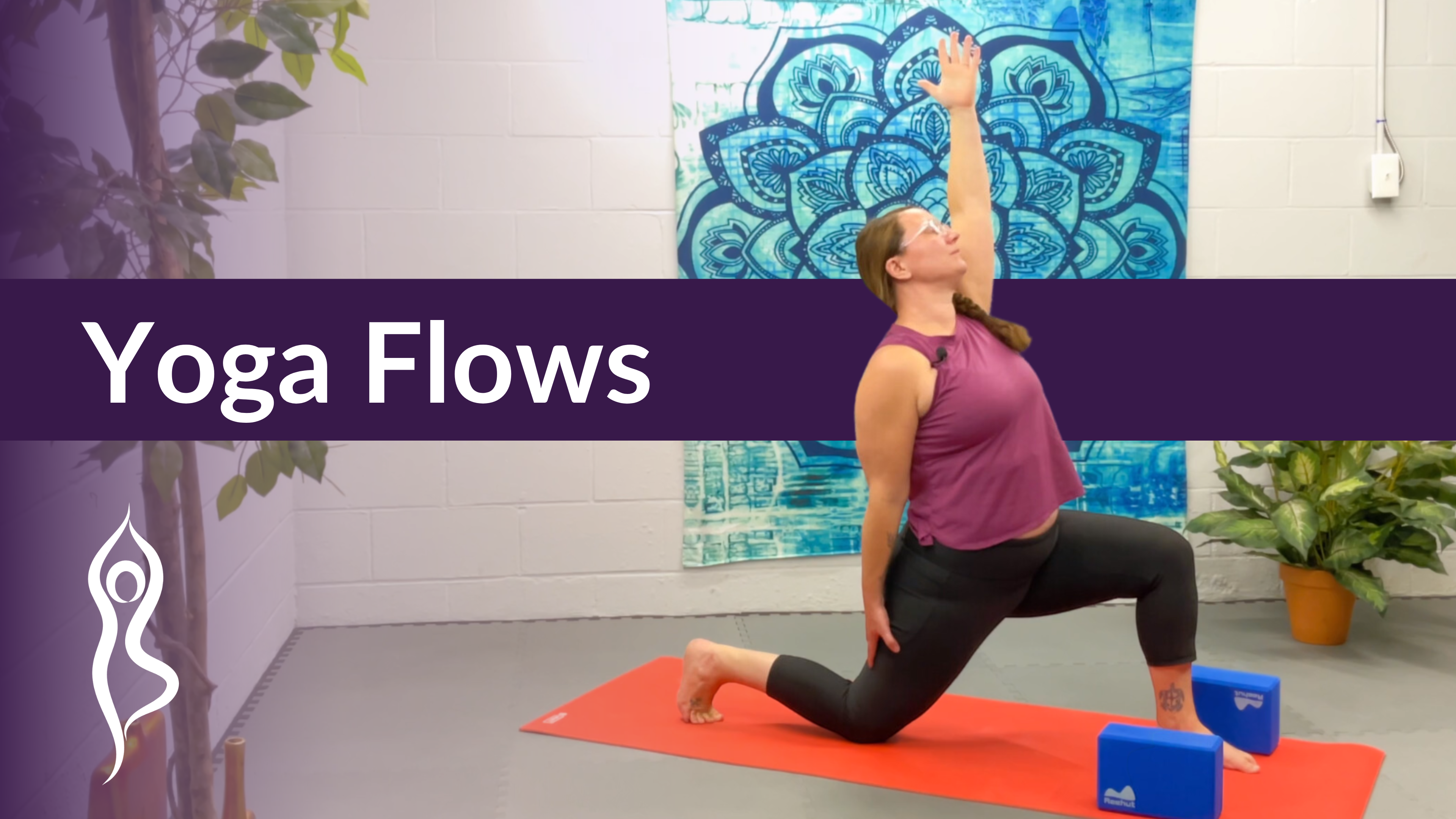 Yoga Flows