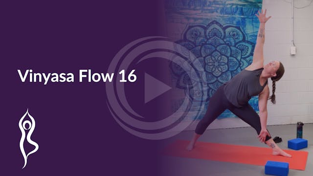 Vinyasa Flow 16