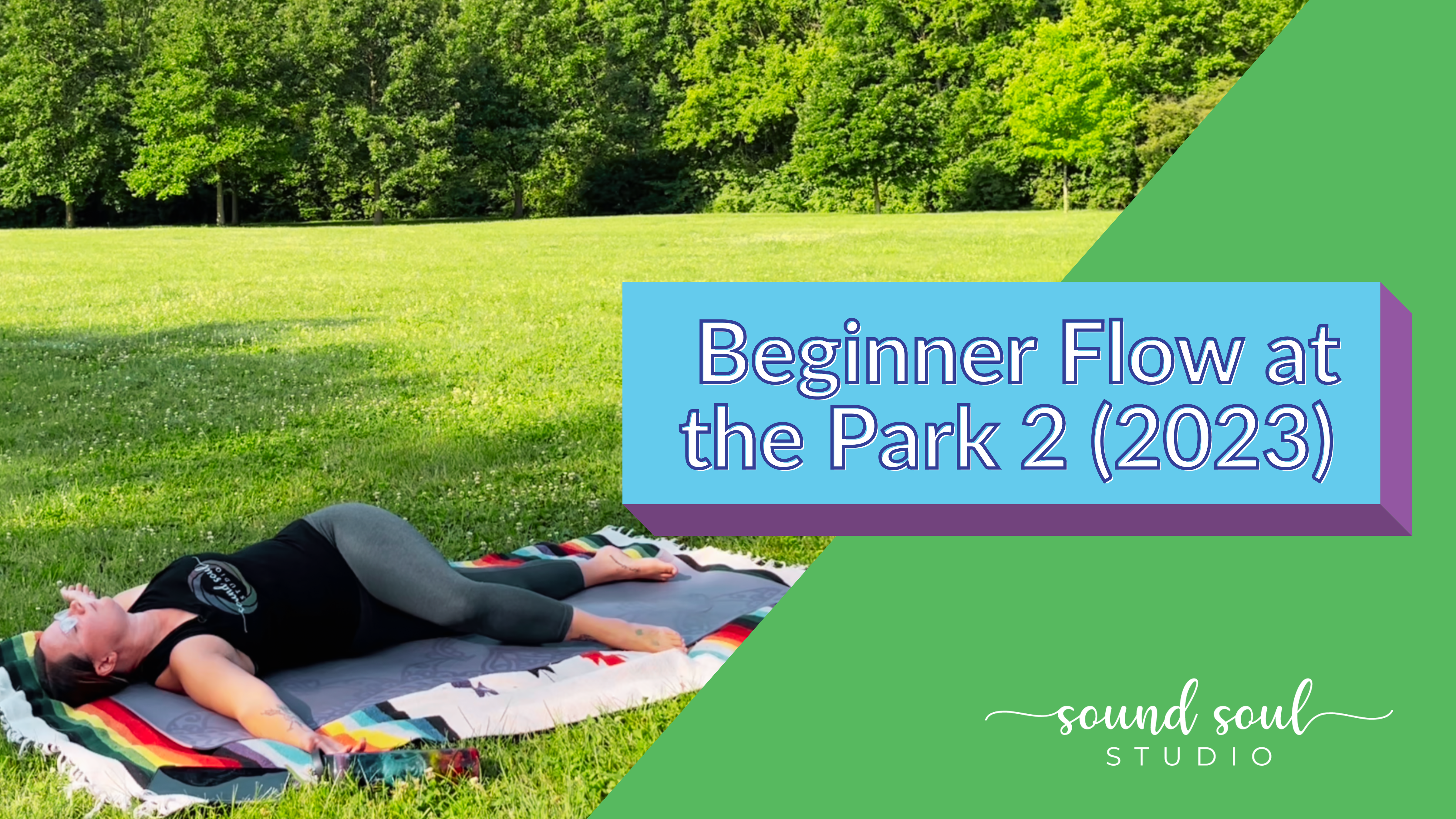 Beginner Vinyasa Flow at the Park Class 2 (2023)
