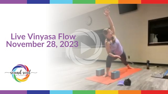 Live Vinyasa Flow November 28, 2023