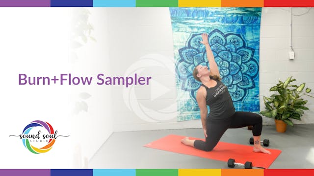 Burn + Flow Sampler