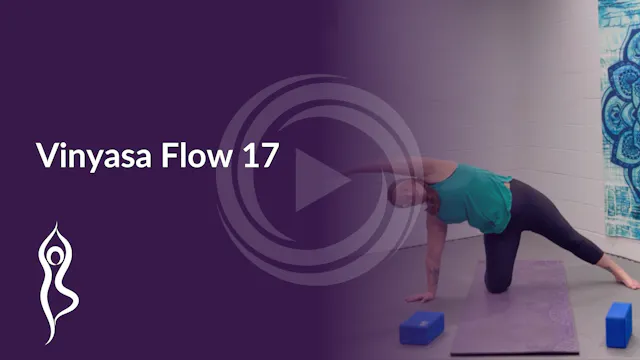 Vinyasa Flow 17