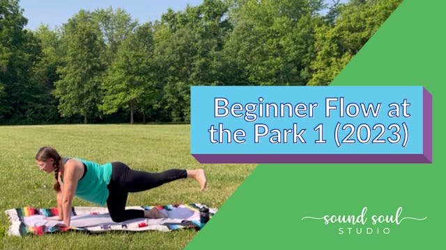 Beginner Vinyasa Flow at the Park Cla...