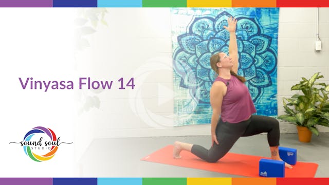 Vinyasa Flow 14