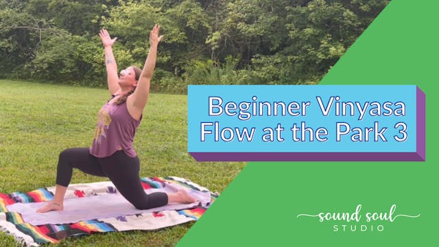 Beginner Vinyasa Flow at the Park 3 (...